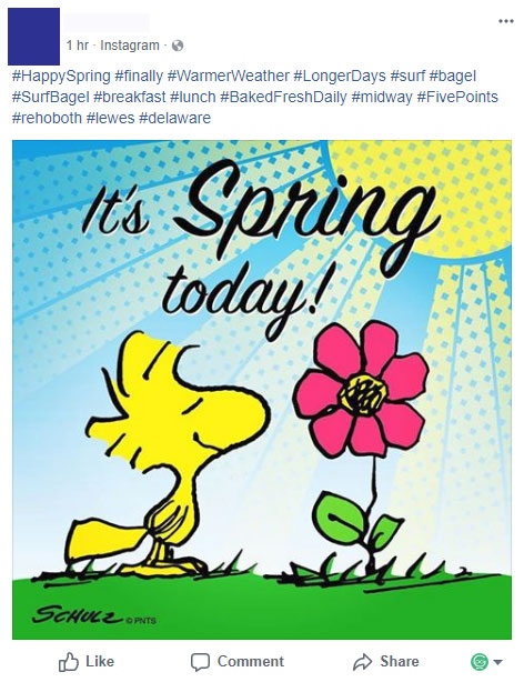 It's Spring Time on Facebook