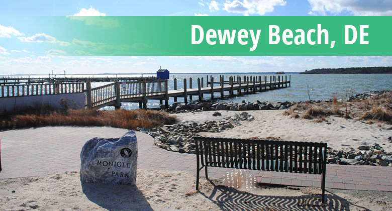 Web Design in Dewey Beach, DE