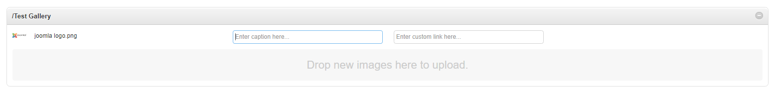 test Gallery add images, captions, links