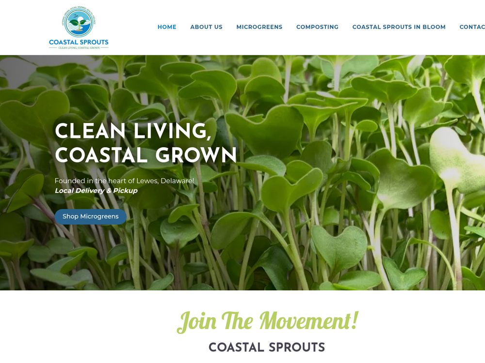 Coastal Sprouts &mdash; website by Techno Goober