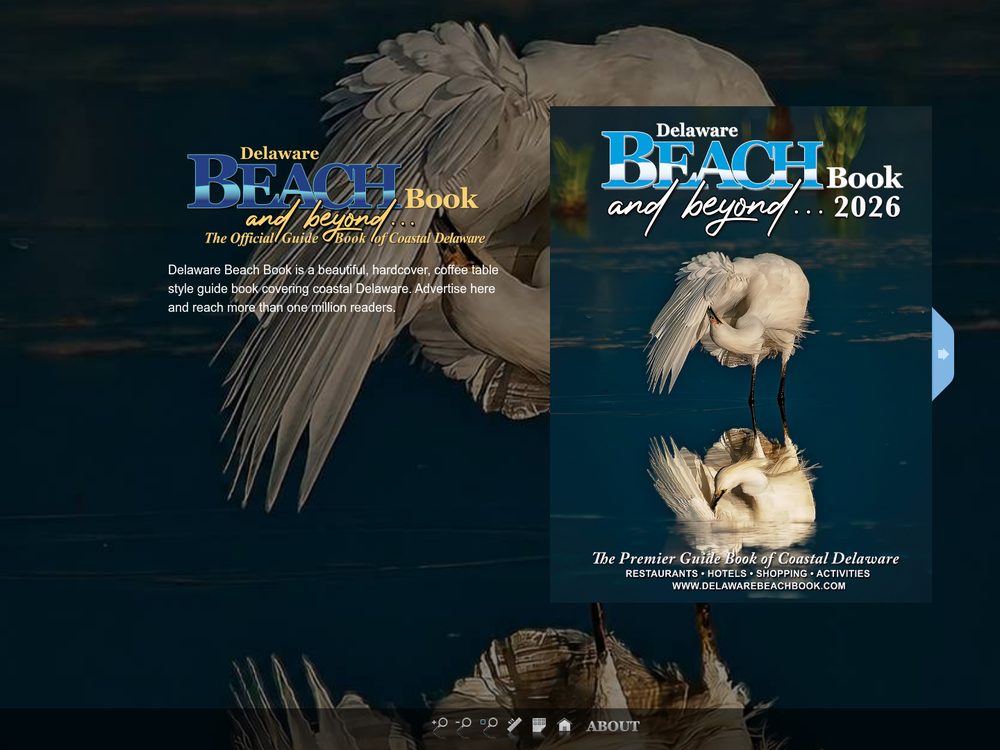 Delaware Beach Book &mdash; website by Techno Goober